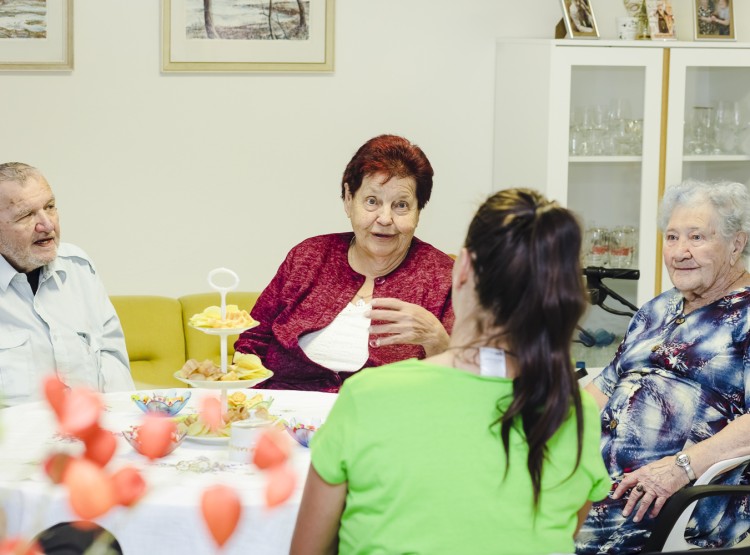 Terénní zdravotní a sociální služby Ledax