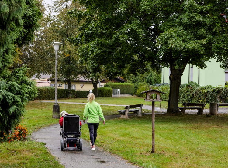 Terénní zdravotní a sociální služby Ledax