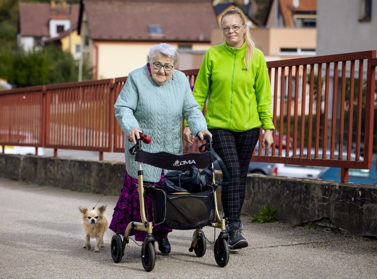 Terénní zdravotní a sociální služby Ledax