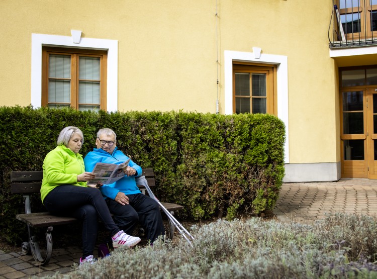 Terénní zdravotní a sociální služby Ledax