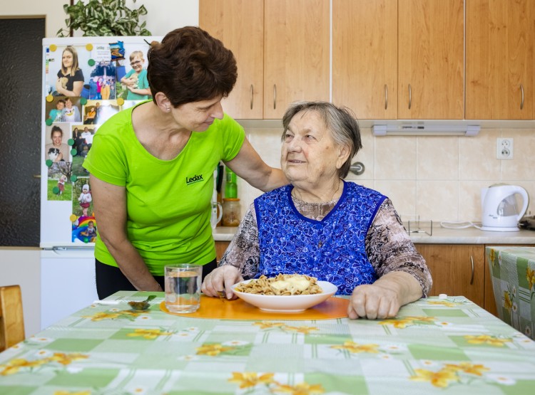 Terénní zdravotní a sociální služby Ledax
